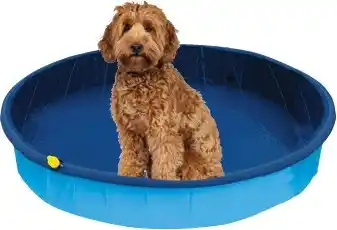 Cheap as Chips Pet Pool Large with Sprinkler 120x30cm offer