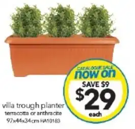Cheap as Chips villa trough planter offer