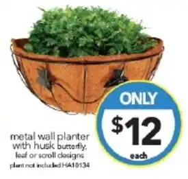 Cheap as Chips metal wall planter with husk butterfly offer