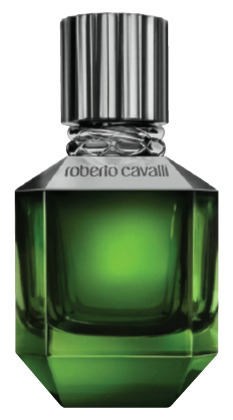 Roberto cavalli paradise found men 75ml edt