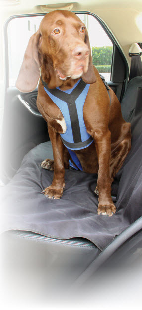 Auto One Pc procovers waterproof bench seat cover/ protector mat offer