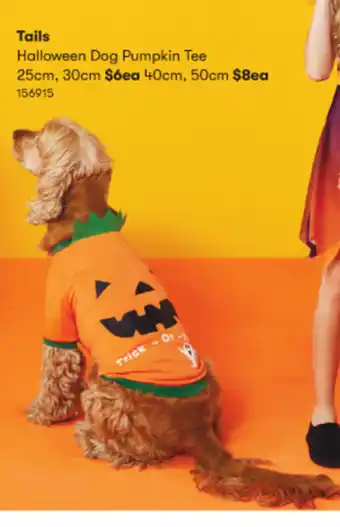 Woolworths Tails Halloween Dog Pumpkin Tee 25cm, 30cm offer