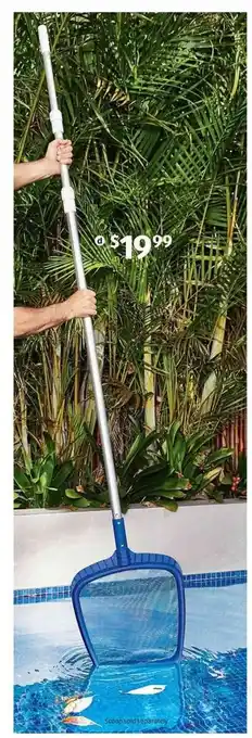 ALDI Telescopic Pool Pole offer