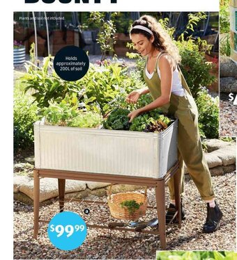 ALDI Vintage Planter with Stand offer