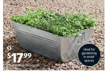 ALDI Mini Garden in a Tub offer