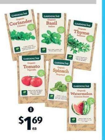 Organic Garden Packet Seeds