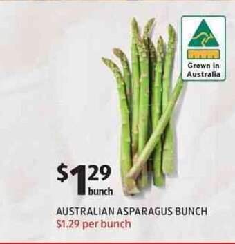 Australian Asparagus Bunch
