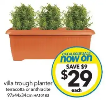 Cheap as Chips villa trough planter offer