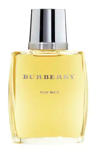 Good Price Pharmacy Burberry for men 100ml edt offer