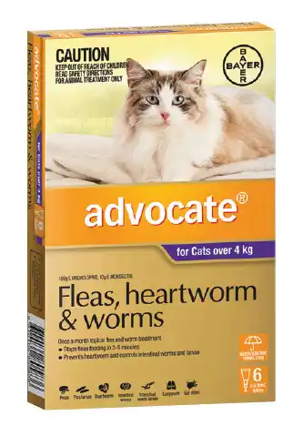 Advocate fleas, heratworm & worms 6 pack - cats over 4kg