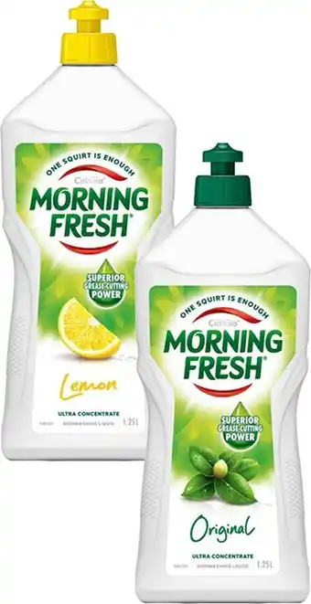 BIG W Morning Fresh Dishwashing Liquid 1.25-Litre offer