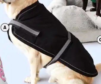 BIG W Tails Pet Jacket - Value Range 60cm offer