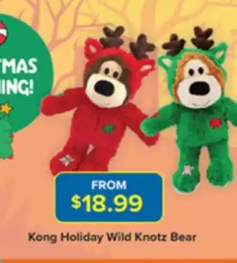 Kong Holiday Wild Knotz Bear