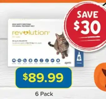 Revolution Parasite Protection for Cats - 6 Pack