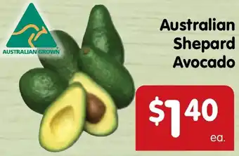 Spar Australian Shepard Avocado offer