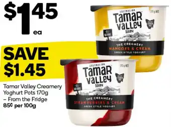 Woolworths Tamar Valley Creamery Yoghurt Pots 170g offer
