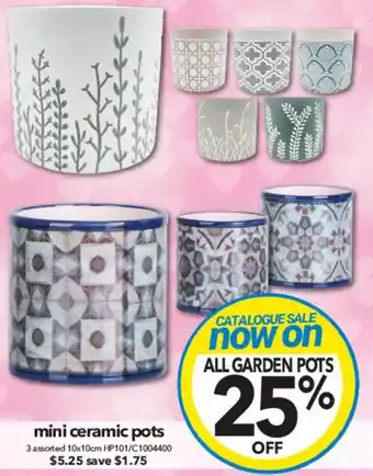 Cheap as Chips mini ceramic pots offer