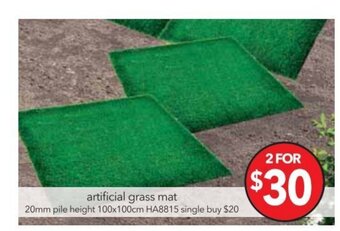 Cheap as Chips Artificial Grass Mat offer