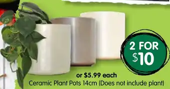 Spudshed Ceramic Plant Pots 14cm offer