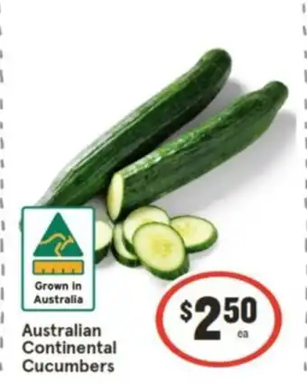 IGA Australian Continental Cucumbers offer