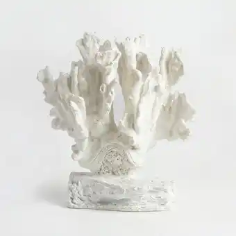 Whitehaven Coral by M.U.S.E