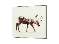 LivingStyles Wilden Framed Wall Art Print, Moose In Motion, 80cm offer