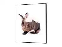 LivingStyles Wilden Framed Wall Art Print, Hare, 60cm offer