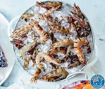 Australian Extra Large Raw Black Tiger Prawns