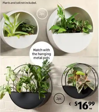 ALDI Wall Planter 2pc offer