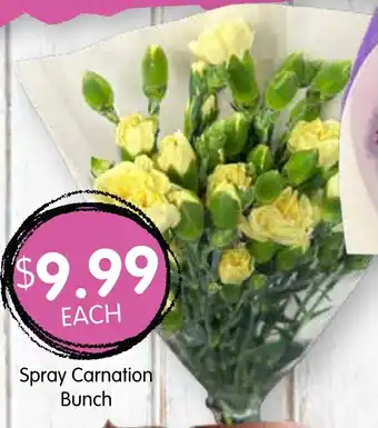 Spudshed Spray Carnation Bunch offer