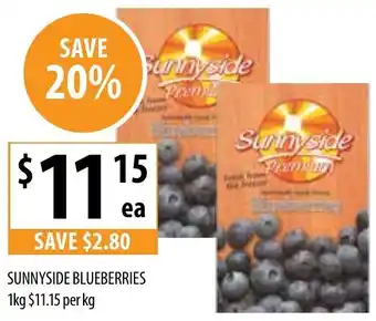 SUNNYSIDE BLUEBERRIES 1kg