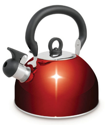 Campfire 4l s/s whistling kettle