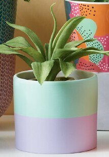 Ceramic Planter Pot