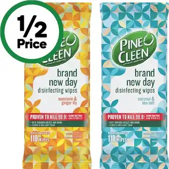Woolworths Pine O Cleen Brand New Day Wipes Pk 110 offer