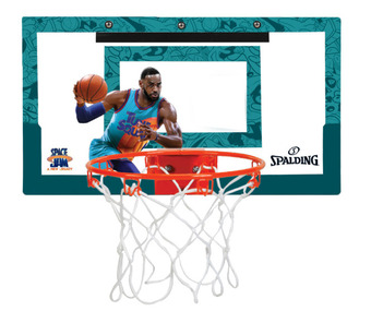 Spalding x space jam over the door slam