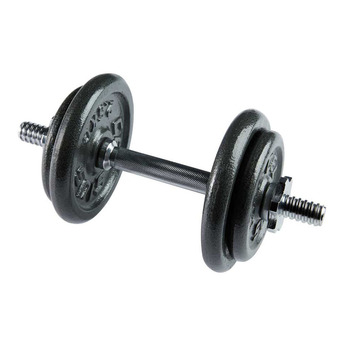 Rebel Sport Celsius dumbbell 10kg offer