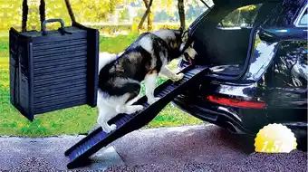 Cheap as Chips Heavy Duty Pet Ramp Foldable with Carry Handle offer