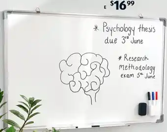 Magnetic Whiteboard