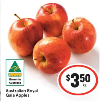 IGA Australian Royal Gala Apples offer