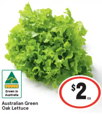 IGA Australian Green Oak Lettuce offer