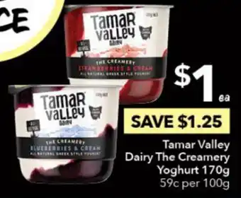 Tamar Valley Dairy The Creamery Yoghurt 170g