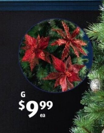 ALDI Premium Tree Picks offer