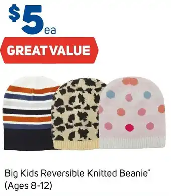 Foodland Big Kids Reversible Knitted Beanie (Ages 8-12) offer