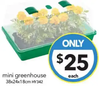 Cheap as Chips mini greenhouse 38x24x18cm offer