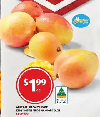 ALDI Australian Calypso Or Kensington Pride Mangoes offer