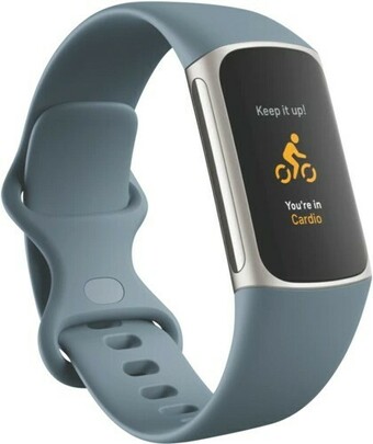 The Good Guys Fitbit Charge 5 - Steel Blue offer