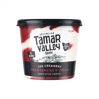 Woolworths Tamar Valley Greek or Creamery Yoghurt 700g-1 kg – From the Fridge offer