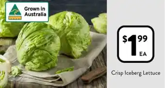 Foodworks Crisp Iceberg Lettuce offer