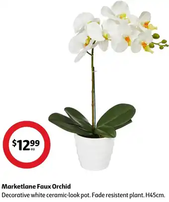 Coles Marketlane Faux Orchid offer