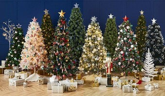 BIG W Christmas Trees offer